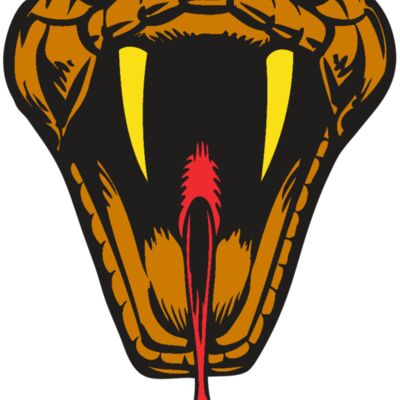 BAW SNAKE 05 RC Thumbnail