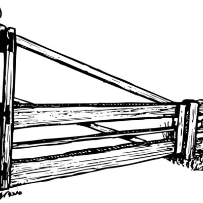 F0009 Thumbnail